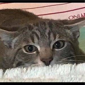 Meet your Posher, Rickell